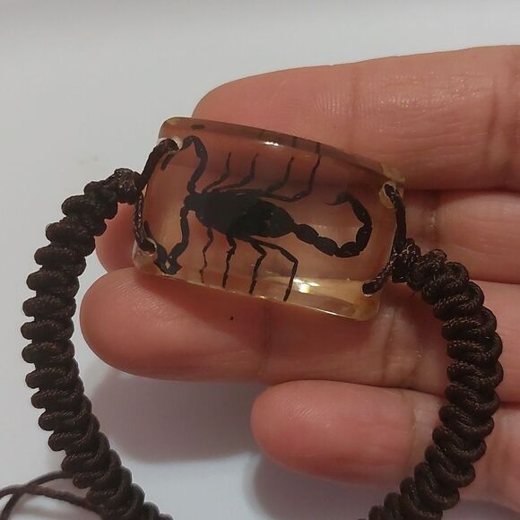 Preserved Real Black Scorpion Brown Adjustable Cord Bracelet - Picture 2 of 5